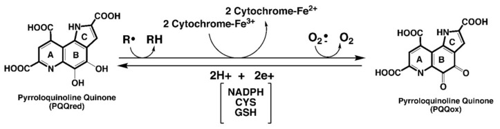 包含圖片、插圖等的外部文件。
對(duì)象名稱(chēng)為 biomolecules-11-01441-g001.jpg