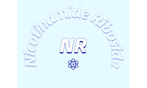 煙酰胺核糖氯化物是如何增加NDA+水平的？