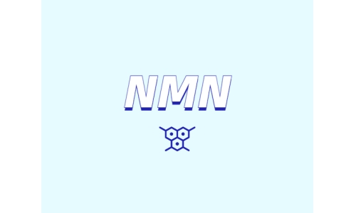 NMN如何改善腸道健康？