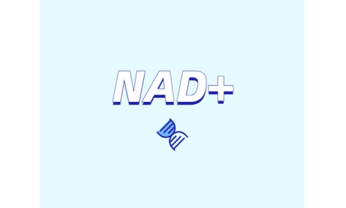 NAD在健康中有什么潛在作用？