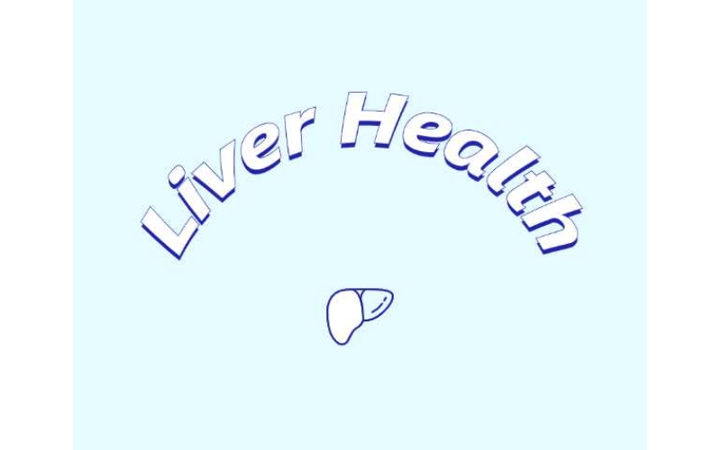 哪些原料可助力肝臟健康？